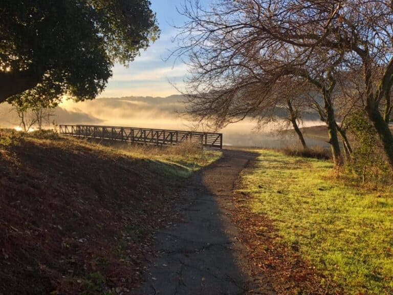Stafford Lake Park Tour of Novato