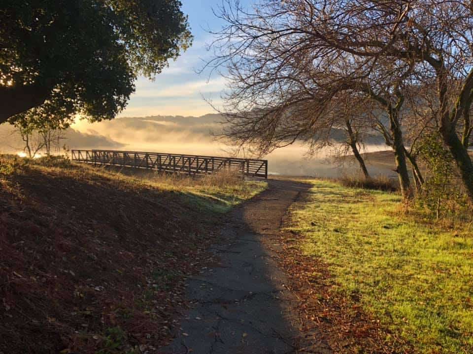 Stafford Lake Park Tour of Novato